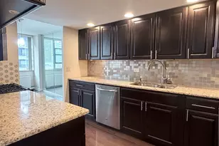 40 E Cedar St, Chicago, IL 60611 - Photo 11
