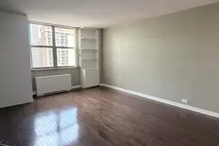 40 E Cedar St, Chicago, IL 60611 - Photo 13
