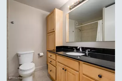 1030 N State Street #46A, Chicago, IL 60610 - Photo 11