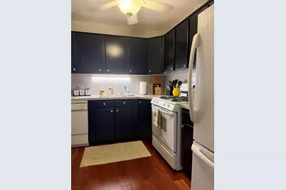 253 E Delaware Place #8A, Chicago, IL 60611 - Photo 5