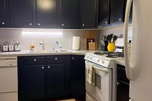 253 E Delaware Pl, Chicago, IL 60611 - Photo 5