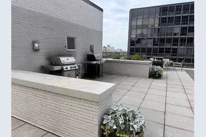 253 E Delaware Place #8A, Chicago, IL 60611 - Photo 9