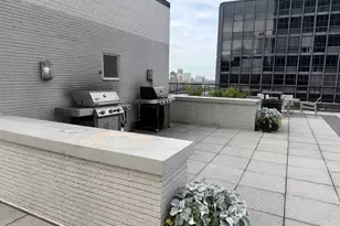 253 E Delaware Pl, Chicago, IL 60611 - Photo 9