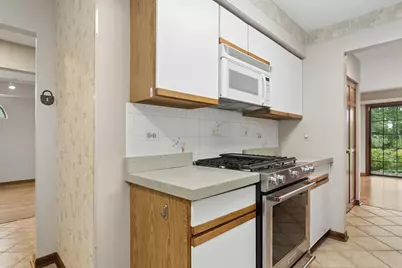 1039 N Auburn Woods Drive #1039, Palatine, IL 60067 - Photo 7