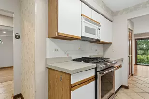 1039 N Auburn Woods Dr, Palatine, IL 60067 - Photo 7