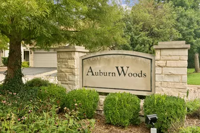 1039 N Auburn Woods Drive #1039, Palatine, IL 60067 - Photo 35