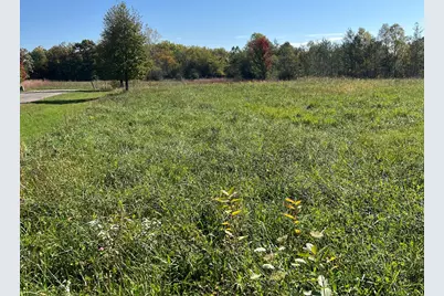 40315 N Belle Foret Drive, Wadsworth, IL 60083 - Photo 13