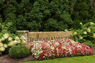 11124 Indian Woods Dr, Indian Head Park, IL 60525 - Photo 37