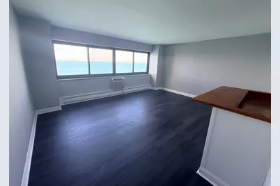 7337 S South Shore Drive #1109, Chicago, IL 60649 - Photo 9