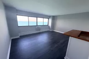 7337 S South Shore Dr, Chicago, IL 60649 - Photo 9
