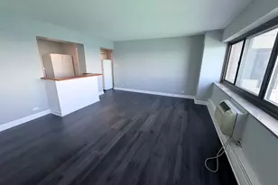 7337 S South Shore Dr, Chicago, IL 60649 - Photo 5