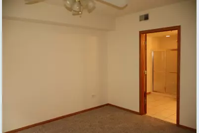 7927 Trinity Circle #1NE, Tinley Park, IL 60487 - Photo 15