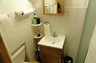 3141 N Luna Ave, Chicago, IL 60641 - Photo 37