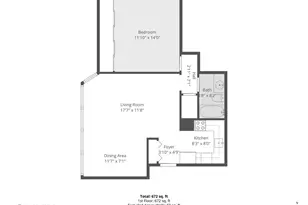 21 W Goethe St, Chicago, IL 60610 - Photo 21