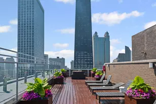 260 E Chestnut St, Chicago, IL 60611 - Photo 23