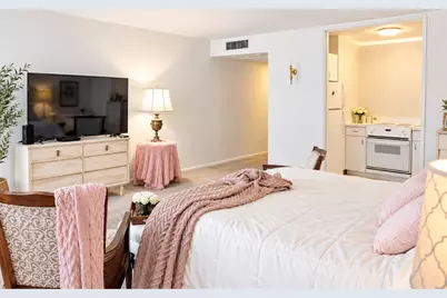 260 E Chestnut Street #409, Chicago, IL 60611 - Photo 5