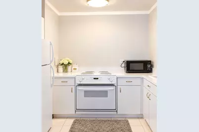 260 E Chestnut Street #409, Chicago, IL 60611 - Photo 7