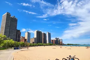 70 E Scott St, Chicago, IL 60610 - Photo 29