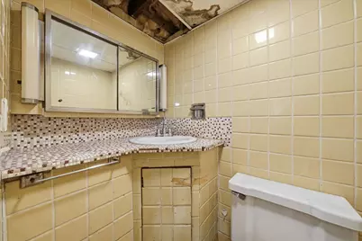 841 S Harvey Avenue, Oak Park, IL 60304 - Photo 31