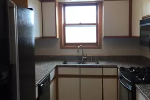 812 S Miller St, Chicago, IL 60607 - Photo 5