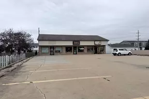 58 N Locust St, Manteno, IL 60950 - Photo 1