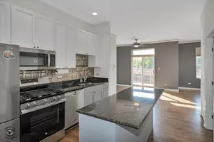 946 W Fry St, Chicago, IL 60622 - Photo 11