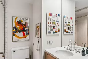 29 W Chestnut St, Chicago, IL 60610 - Photo 23