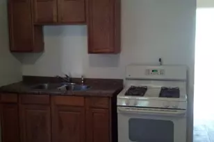 1429 S Komensky Ave, Chicago, IL 60623 - Photo 5