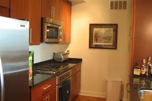 505 N McClurg Ct, Chicago, IL 60611 - Photo 7