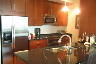 505 N McClurg Ct, Chicago, IL 60611 - Photo 9