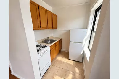 1135 W Lunt Avenue #307, Chicago, IL 60626 - Photo 3