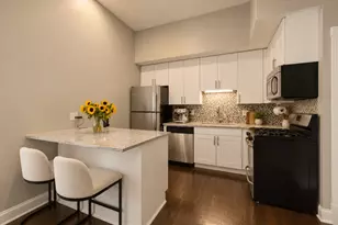1528 N Paulina St, Chicago, IL 60622 - Photo 9