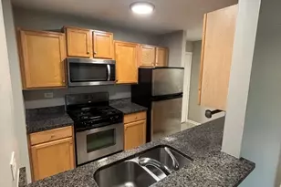 1919 Prairie Square, Schaumburg, IL 60173 - Photo 7