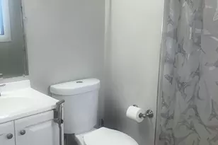 17007 Marilyn Dr, Tinley Park, IL 60477 - Photo 13