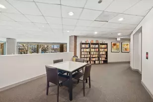 480 N McClurg Ct, Chicago, IL 60611 - Photo 29