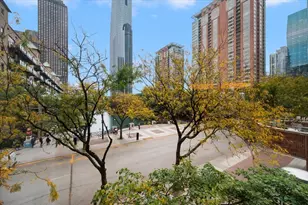 480 N McClurg Ct, Chicago, IL 60611 - Photo 25
