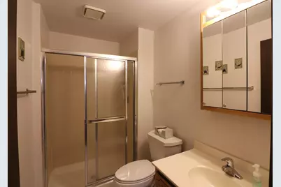 17012 Grissom Drive, Tinley Park, IL 60477 - Photo 23