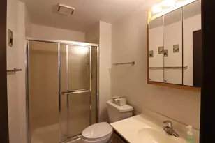 17012 Grissom Dr, Tinley Park, IL 60477 - Photo 23