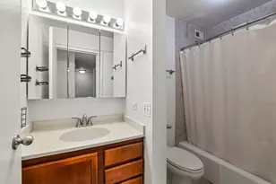 222 E Pearson St, Chicago, IL 60611 - Photo 11