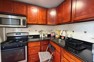 4513 S Washtenaw Ave., Chicago, IL 60632 - Photo 5