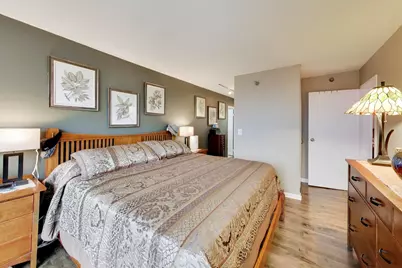 111 W Maple Street #2902, Chicago, IL 60610 - Photo 11