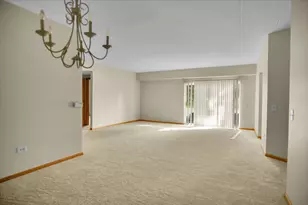 11480 S Magnolia Ln, Alsip, IL 60803 - Photo 7