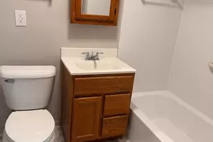 16 E Illinois St, Lemont, IL 60439 - Photo 11