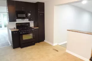423 Blackhawk Ave, Carpentersville, IL 60110 - Photo 33