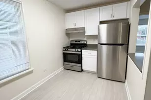 1041 Dewey Ave, Evanston, IL 60202 - Photo 9