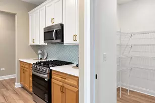 214 Burr Oak Circle, Elgin, IL 60124 - Photo 11