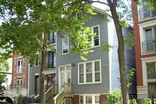 1075 N Hermitage Ave, Chicago, IL 60622 - Photo 1