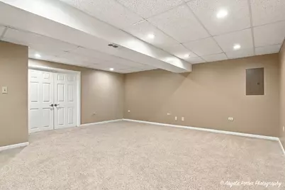 101 Northlight Passe #101, Lake in the Hills, IL 60156 - Photo 29