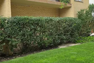 6300 W Montrose Ave, Chicago, IL 60634 - Photo 3