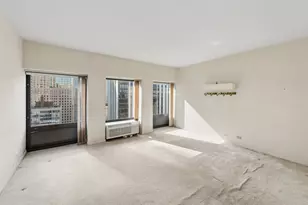 1100 N Lake Shore Dr, Chicago, IL 60611 - Photo 13